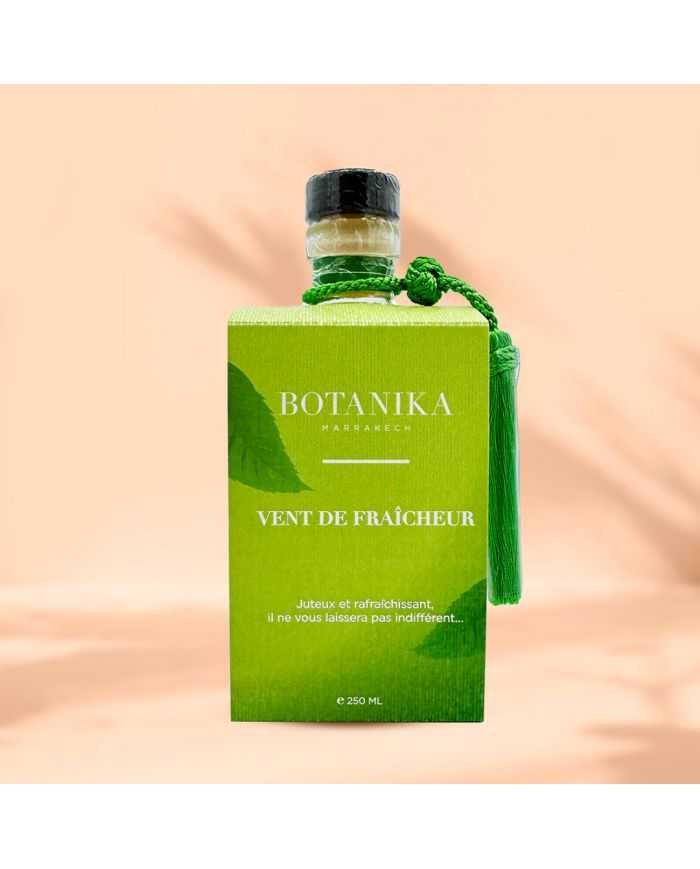 BOTANIKA PARFUM D’AMBIANCE VENT DE FRAIHEUR 250 ML - BOTANIKA