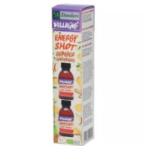 DAMHERT WELLBEING ENERGIE SHOT GINGEMBRE - DAMHERT