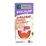 DAMHERT WELLBEING FAVORISE LE TRANSITE 20 SACHETS - DAMHERT