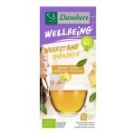 DAMHERT WELLBEING IMMUNITE GINGEMBRE CITRON VERT 20 SACHETS - DAMHERT