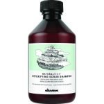 DAVINES SHAMPOOING DETOXIFIANT 250 ML - DAVINES