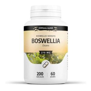 GPH BOSWELLLIA ENCENS 200 GELULES 270 MG - GPH DIFFUSION