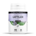 GPH GATTILIER 100 GELULES A 210 MG - GPH DIFFUSION