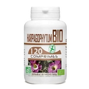GPH HAPRAGOPHTUM BIO 120 COMPRIMES 400 MG - GPH DIFFUSION