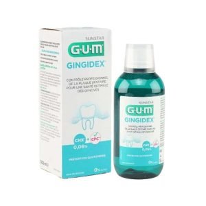 GUM BAIN DE BOUCHE GINGIDEX 0.06 CHX 300 ML - GUM