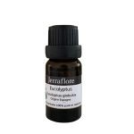 JERRAFLORE HUILE ESSENTIELLE EUCALUPTUS GLOBUS 10 ML - JERRAFLORE