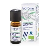 LADROME HUILE ESSENTIELLE BIO EUCALYPTUS RADIE - LADROME