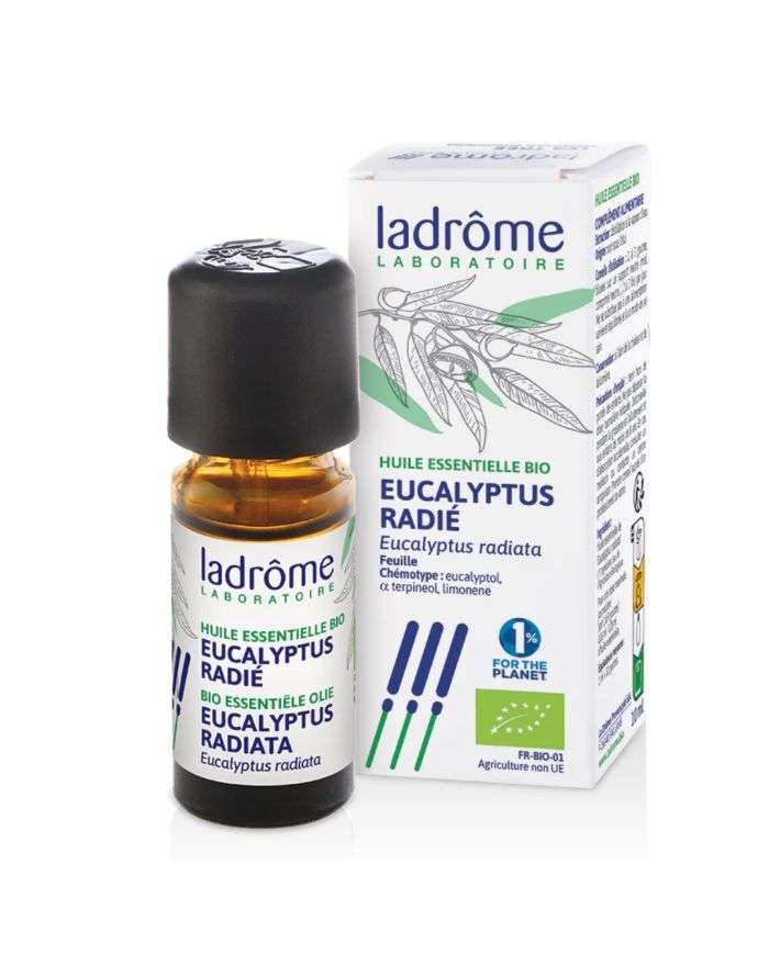LADROME HUILE ESSENTIELLE BIO EUCALYPTUS RADIE - LADROME