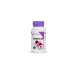 MGD ECHINACEA 120 GELULES - MGD NATURE