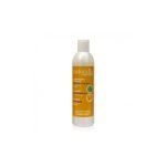 NATURALIA SHAMPOOING ANTI PELLICULAIRE 300 ML - NATURALIA