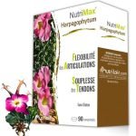 NUTRIMAX HARPAGOPHYTUM 90 COMPRIMES - NUTRIMAX