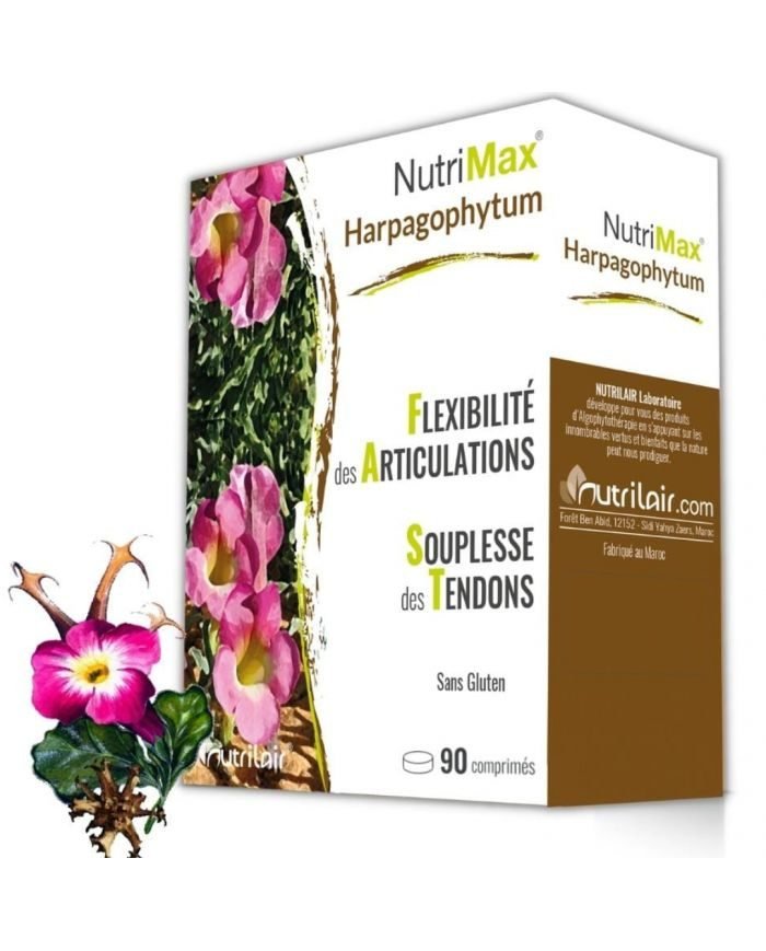 NUTRIMAX HARPAGOPHYTUM 90 COMPRIMES - NUTRIMAX