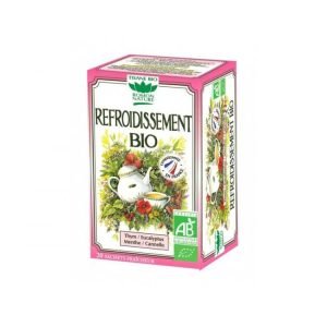 ROMON NATURE TISANE REFROIDISSEMENT BIO 20 SACHETS - ROMON NATURE
