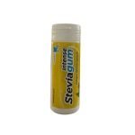 STEVIA GUM INTENSE CHEWING GUM GINGEMBRE CITRON SPLASH 30G - STEVIA