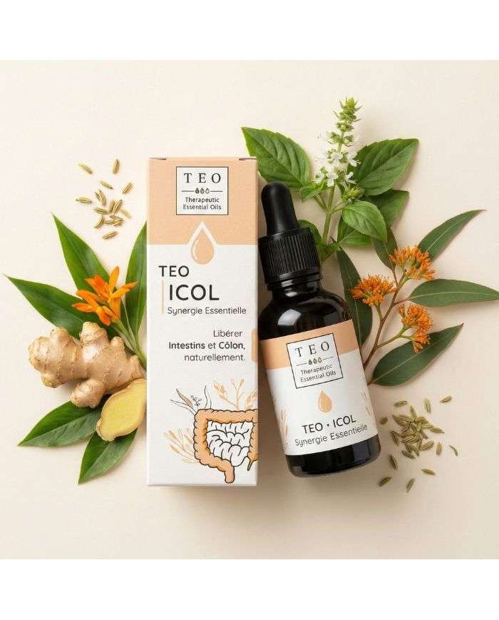 TEO-ICOL® – CONFORT DIGESTIF – SYNERGIE ESSENTIELLE – 10ML - TEO