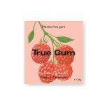 TRUE CHEWING GUM FRAMBOISE VANILLE SANS SUCRE 21G - TRUE