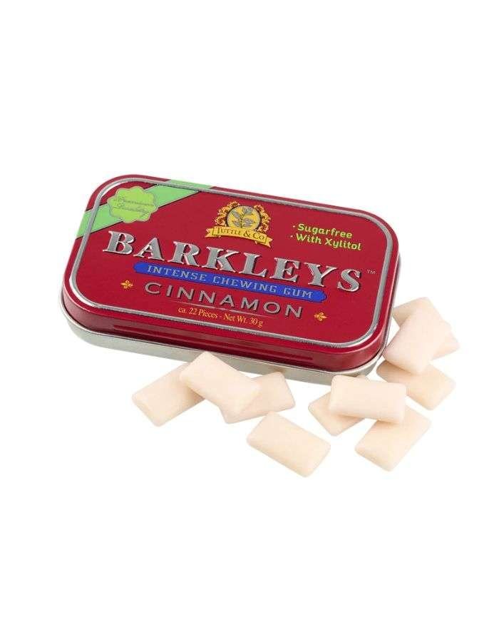 TUTTLE AND CO BARKLEYS CHEWING GUM INTENSE CANNELLE 22 PIECES - TUTTLE AND CO
