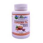 VERTUPLUS CURCUMA PLUS 60 GELULES - VERTU PLUS