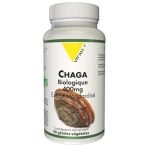 VITALL + CHAGA BIOLOGIQUE 400 MG 60 GELULES - VIT'ALL+