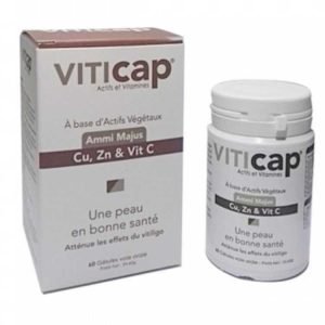 VITICAP actifs et vitamines 60 gélules - VITICAP